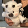 Игрушка плюшевая Животные бегающие ножки***