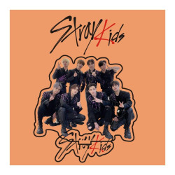 Статуэтка акриловая К-поп Stray Kids