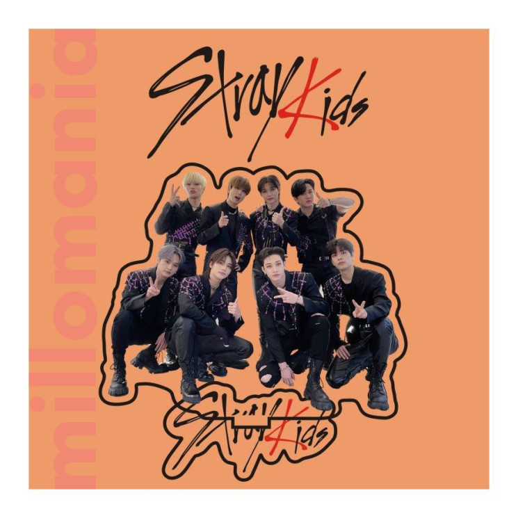Статуэтка акриловая К-поп Stray Kids