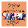 Статуэтка акриловая К-поп Stray Kids