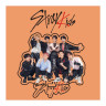 Статуэтка акриловая К-поп Stray Kids