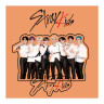 Статуэтка акриловая К-поп Stray Kids