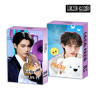 Set de carduri K-pop Stray Kids 30 buc